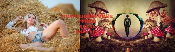 меф Армянск