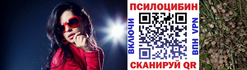 Псилоцибиновые грибы Cubensis  Купить закладки  Эртиль 